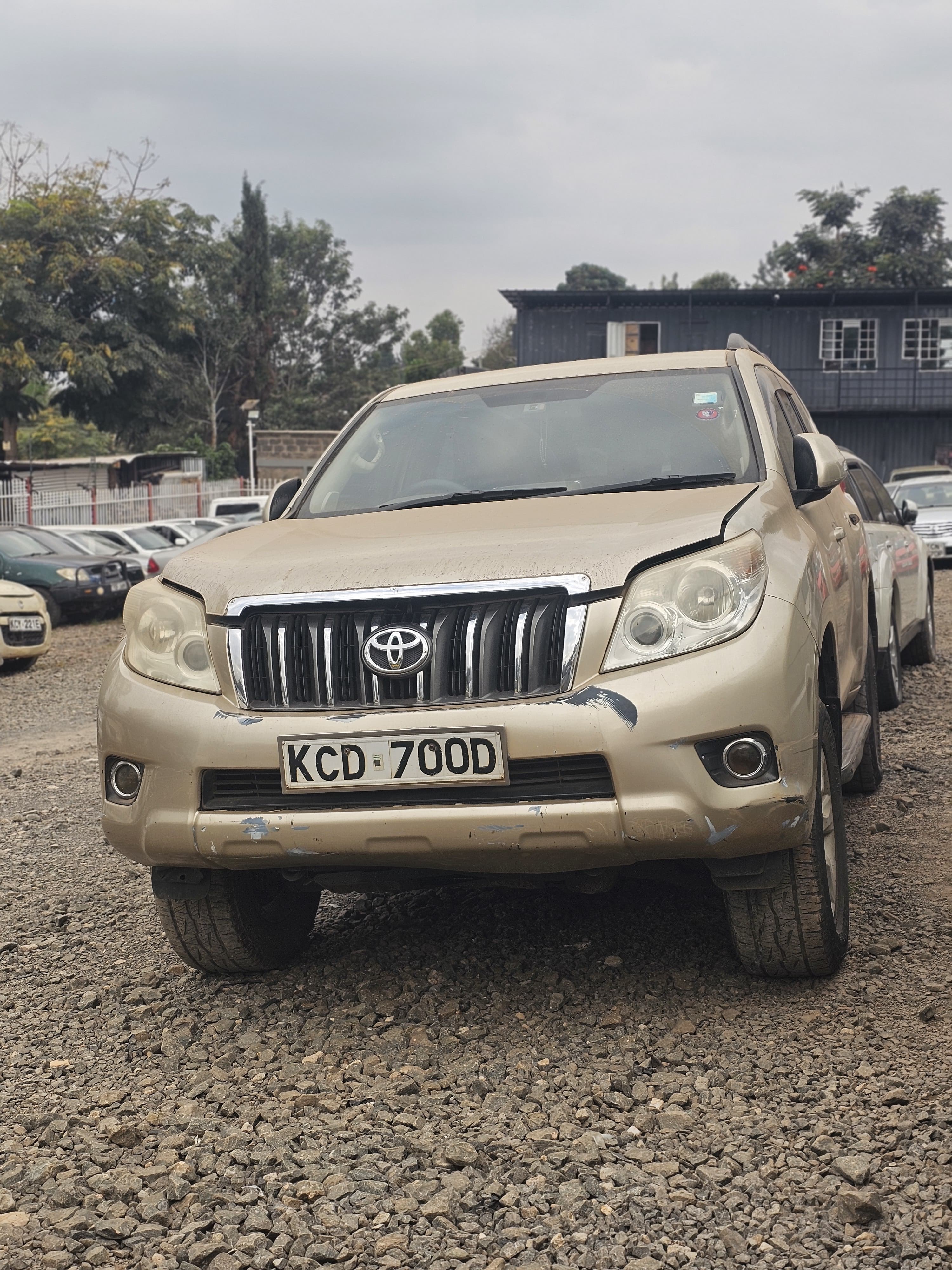 2010 TOYOTA PRADO J150