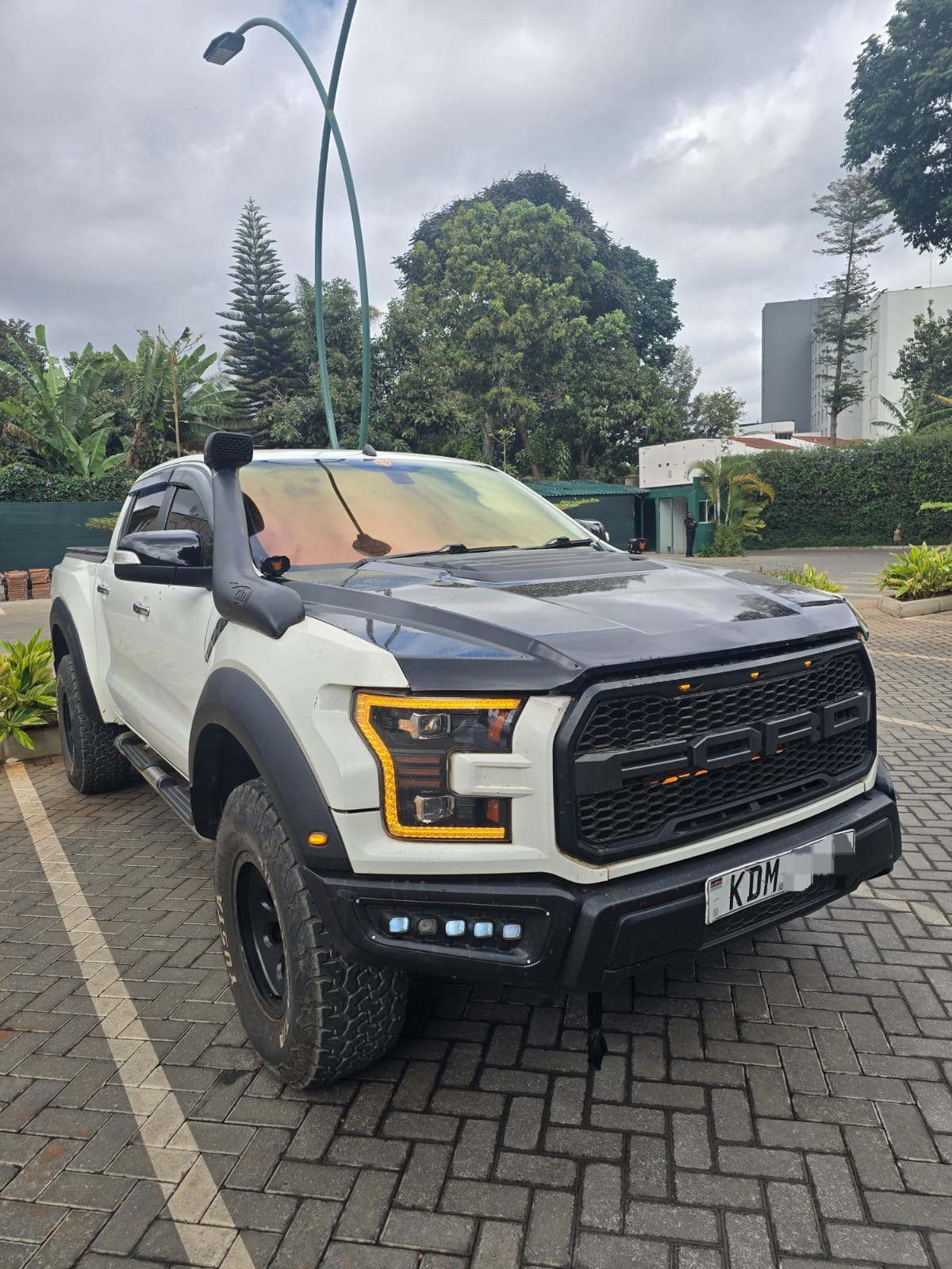 FORD WILDTRUCK